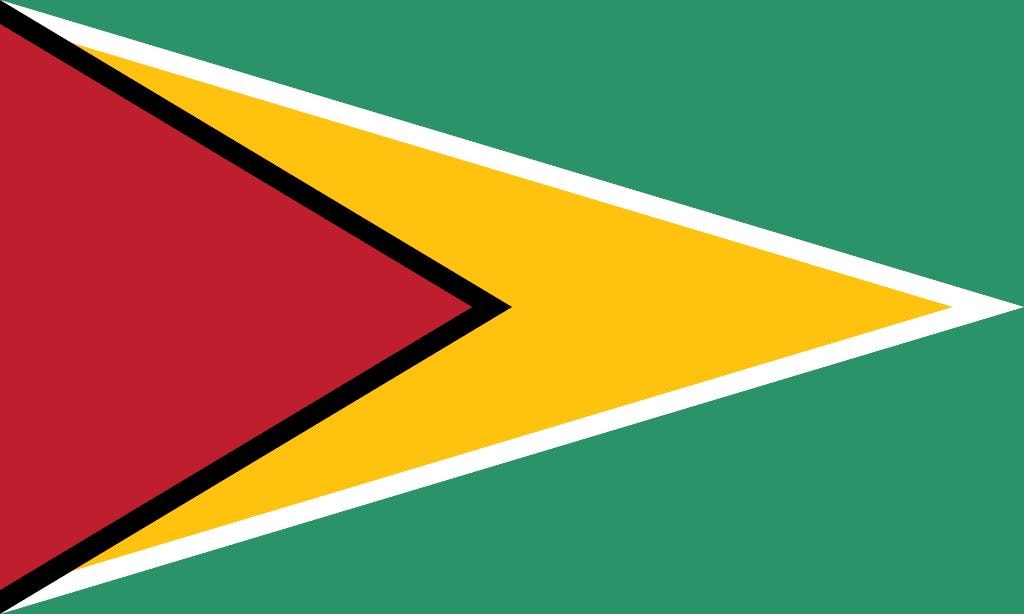 Guyana flag